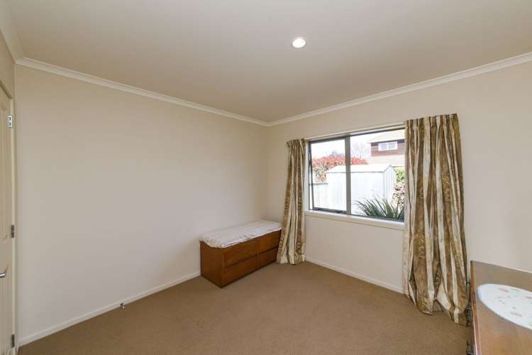 5 Wilson Street Bulls_12