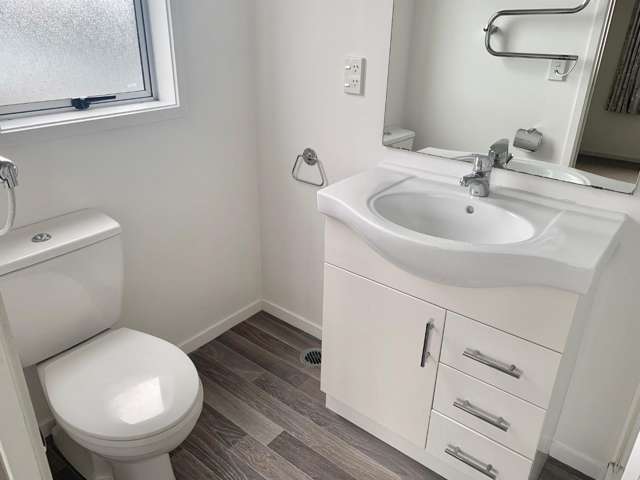 91C Albert Street 1074_4
