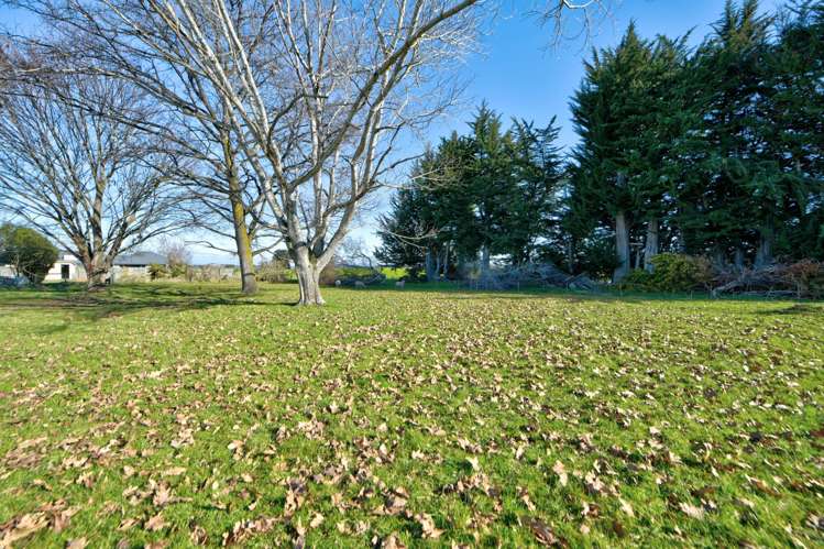 6 Dungannon Street Waikaka_23