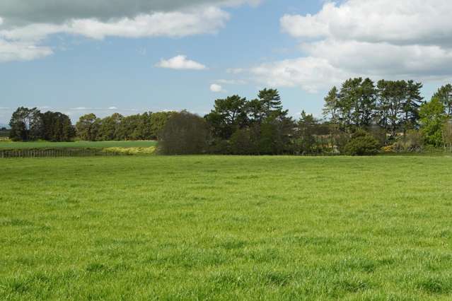 52 Hunter Road Pukekawa_4