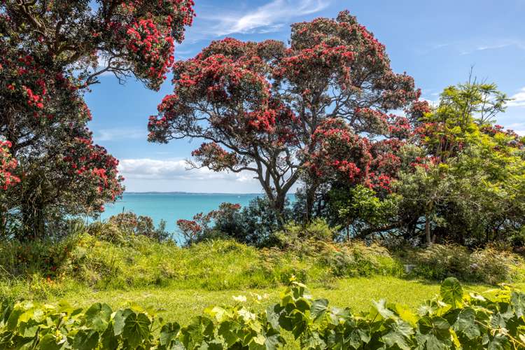 18 Esslin Road Surfdale_5