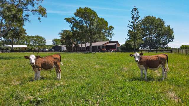 32 Hauraki Road Turua_3