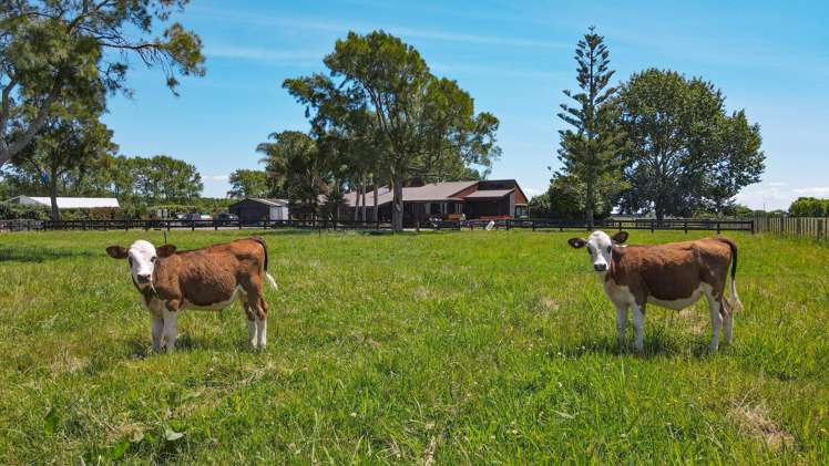 32 Hauraki Road Turua_3