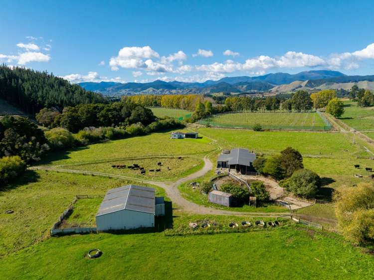 229 Teapot Valley Road Brightwater_5