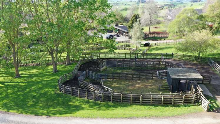 613 Waterworks Road Morrinsville_10