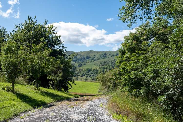 155 Matangi Road Central Hawkes Bay Coastal_8