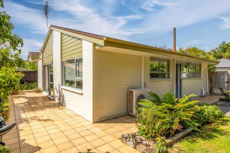 24b Grange Street Hillsborough_16