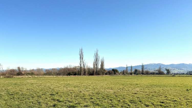 250 South Road Masterton_6