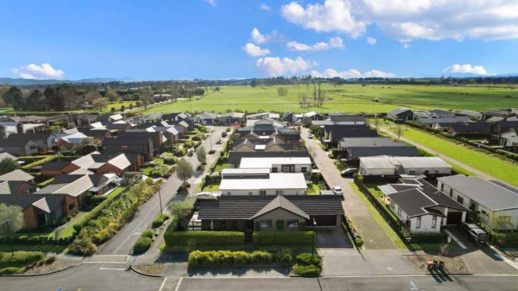 24 Lulu Avenue Chartwell_25