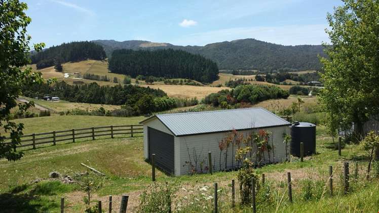 329 Baldrock Road Kaiwaka_7