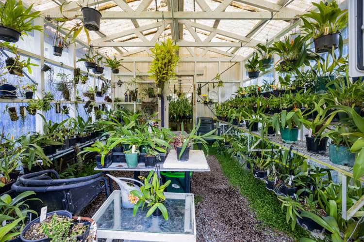 88 Rewa Street Inglewood_40