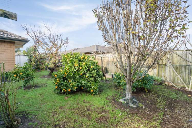 33 Carrington Drive Papamoa Beach_17