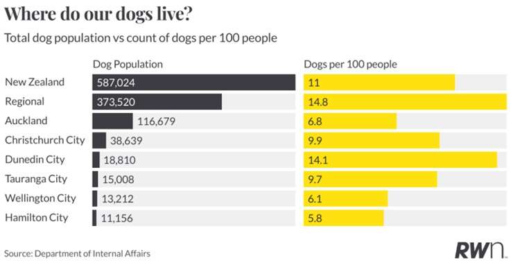 Smaller dog breeds, such as the Miniature Schnauzer, are becoming more popular in New Zealand. Photo / Getty Images