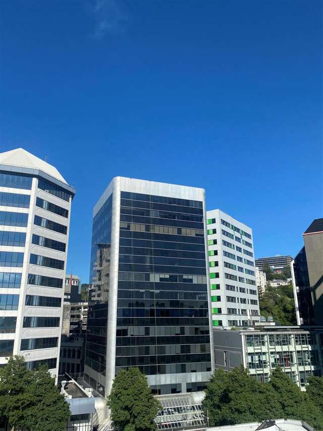 Level 13, 34 Manners Street Te Aro_2