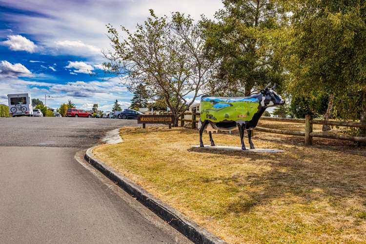 17 Morrin Street Morrinsville_6
