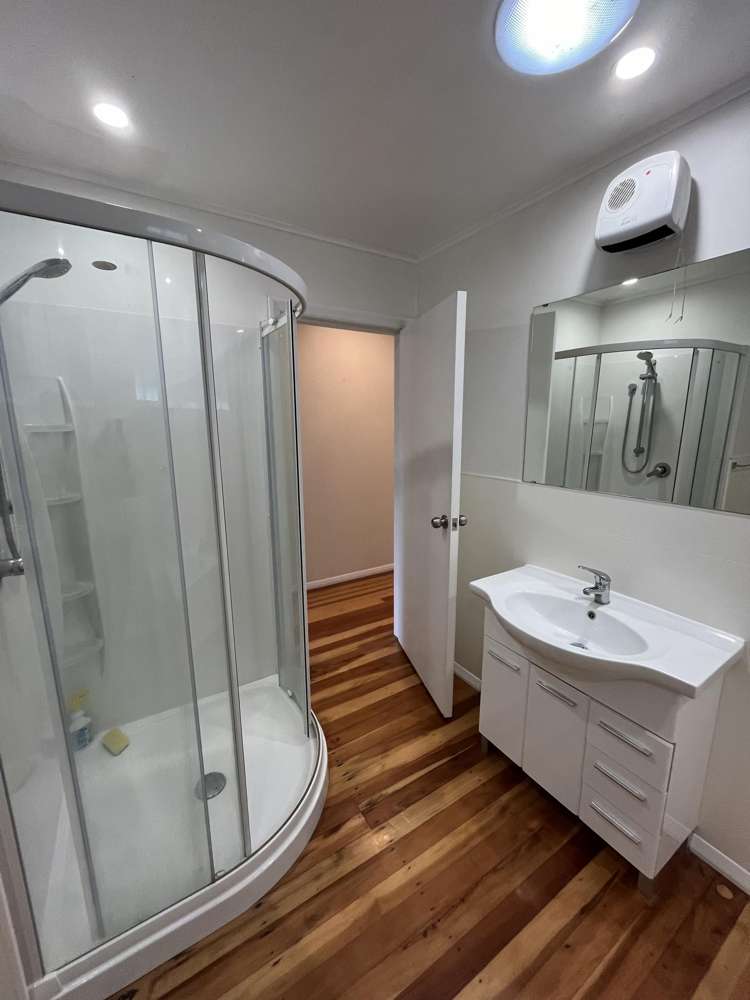 73 Mulgrave Street Ashhurst_12