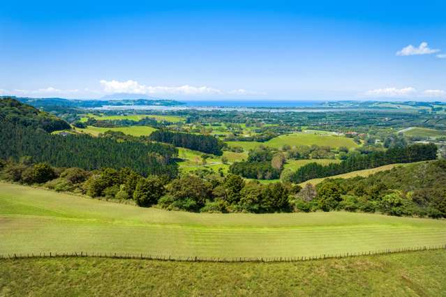 68B Ward Road Matakana_4