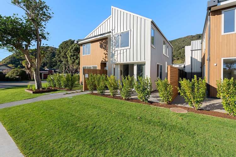 17B Puriri Street Eastbourne_18