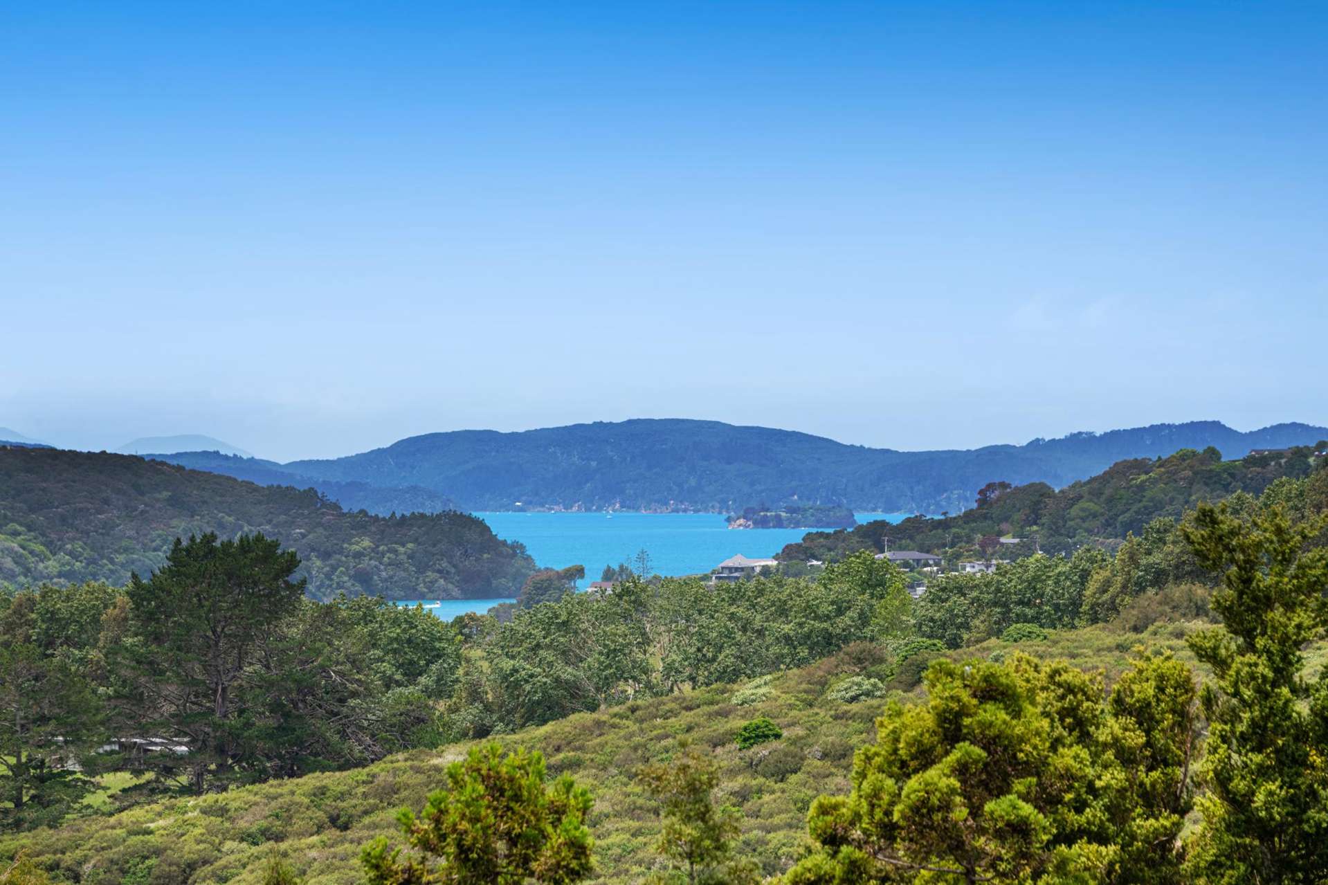 161 Sharp Road Matakana_0