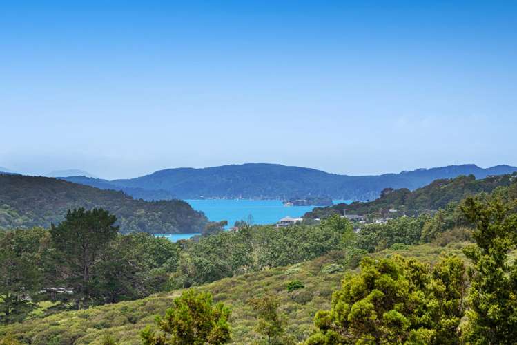 161 Sharp Road Matakana_2