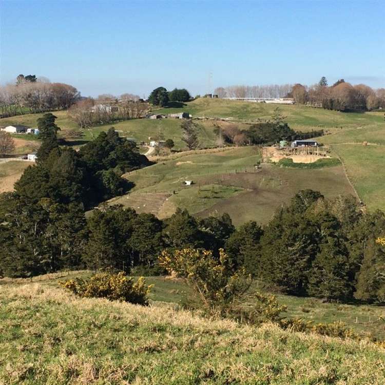 62 Kiwi Lane Kaiwaka_10