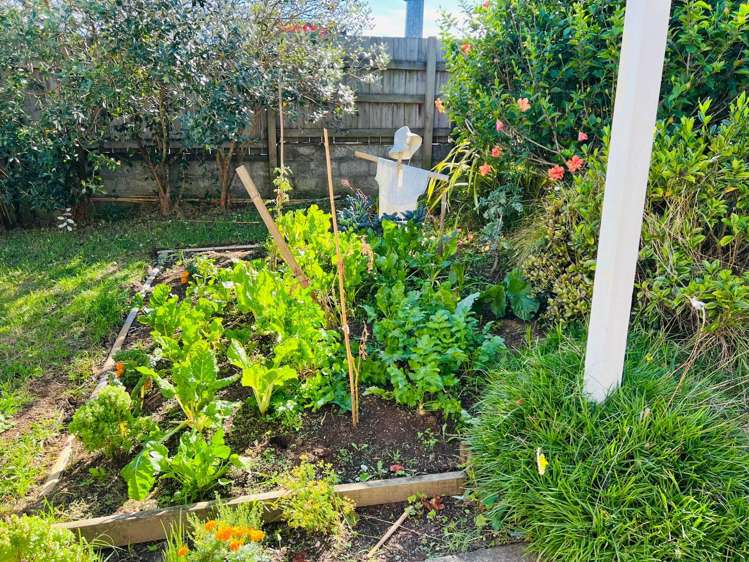 634 Great North Road Grey Lynn_6