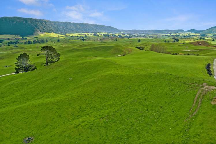 385 Whirinaki Valley Road Ngakuru_19