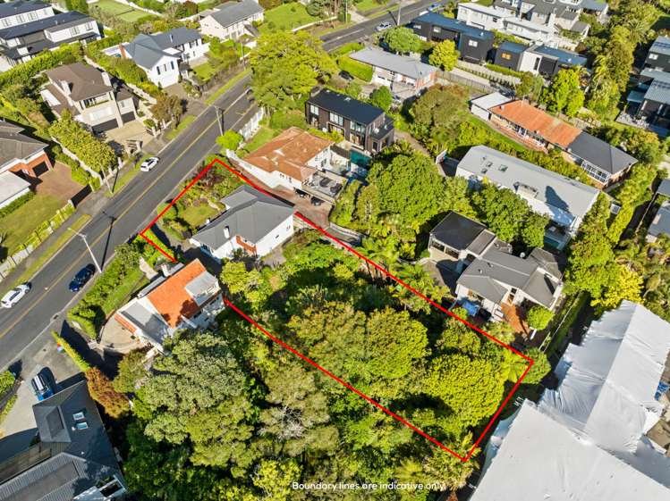 26 Grampian Road Saint Heliers_24