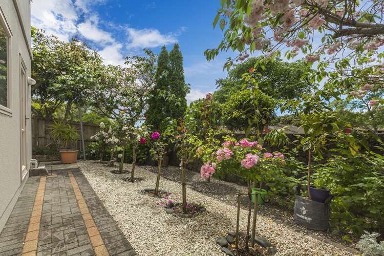 24a Grand Drive Remuera_9