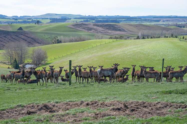 17 Timewell Road Hazelburn_17