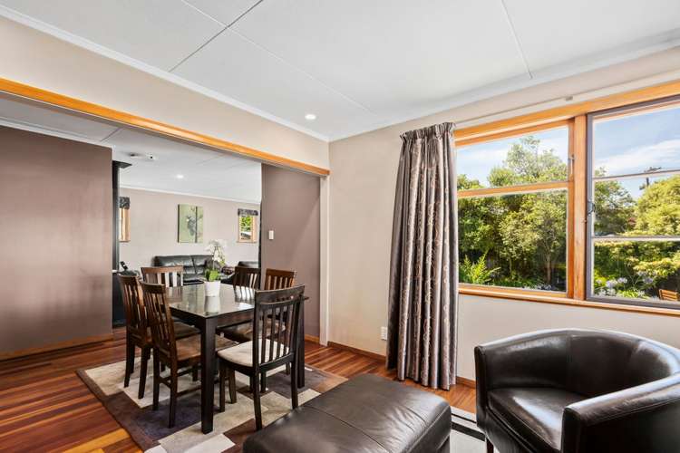 41 Strasbourge Street Martinborough_5