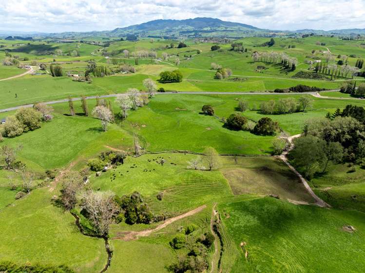 Lot 3/517 State Highway 1 Tirau_18