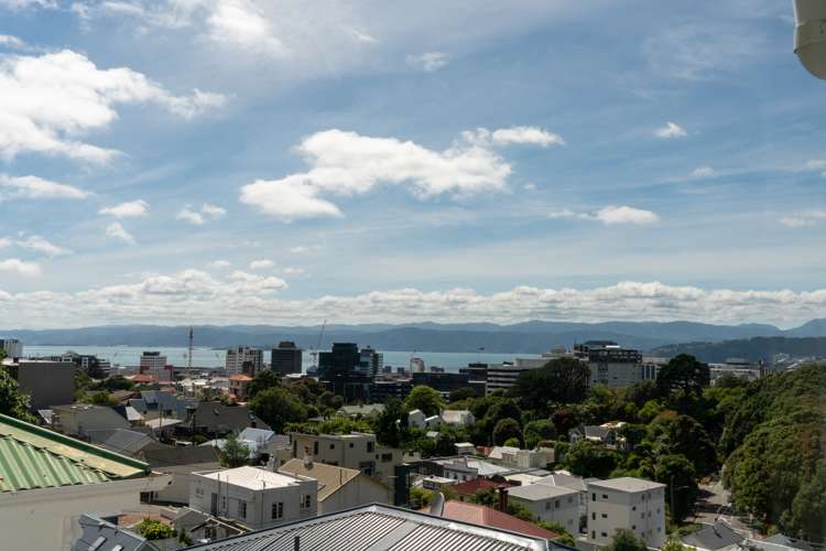 21 Saint Mary Street Thorndon_17