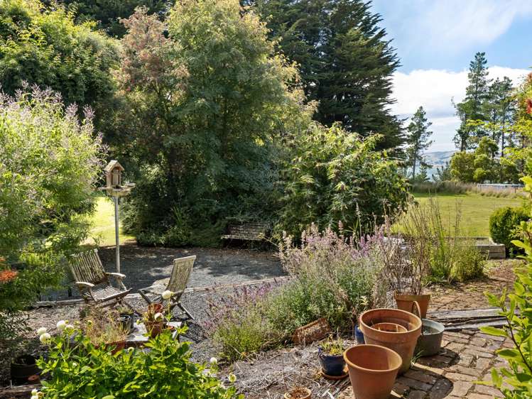 13 Clifton Street, Upper Junction North East Valley_23