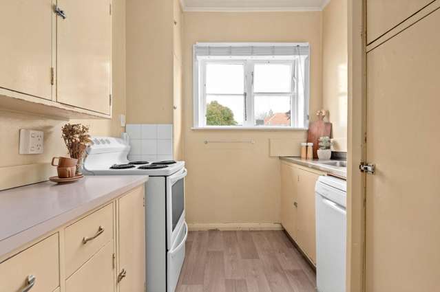 17 Plunket Terrace Hamilton East_4