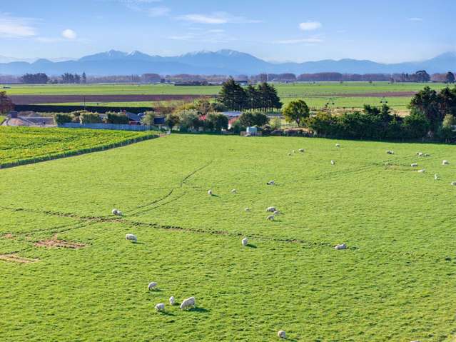21 Dominion Road Timaru_1