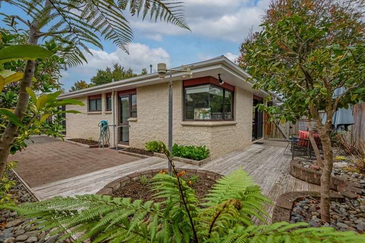 31 Rangitane Street Palmerston North Central_17