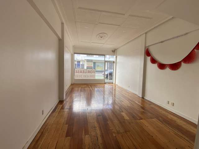 293 Dominion Road Mount Eden_2