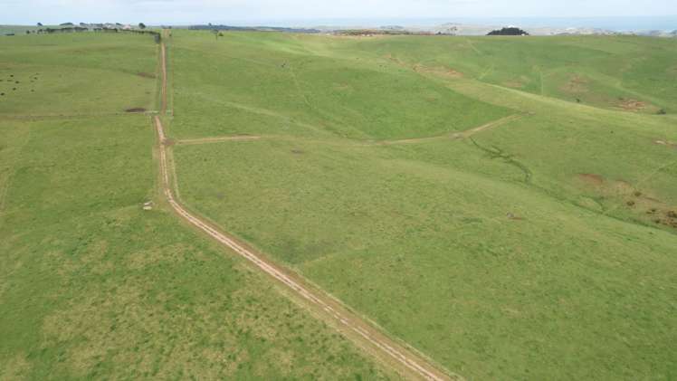 3902 State Highway 12 Dargaville Surrounds_21