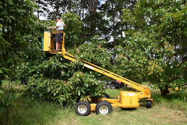 Journeys End Tapora_7