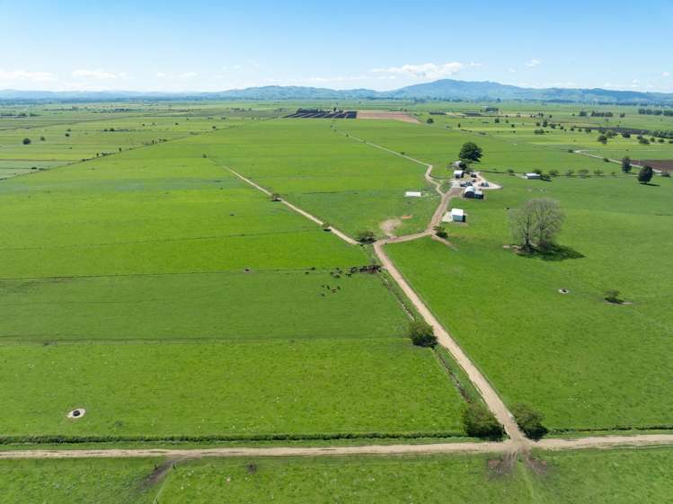 254 Muir Road Te Awamutu_17