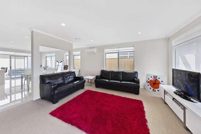 25 Sycamore Street Flat Bush_2