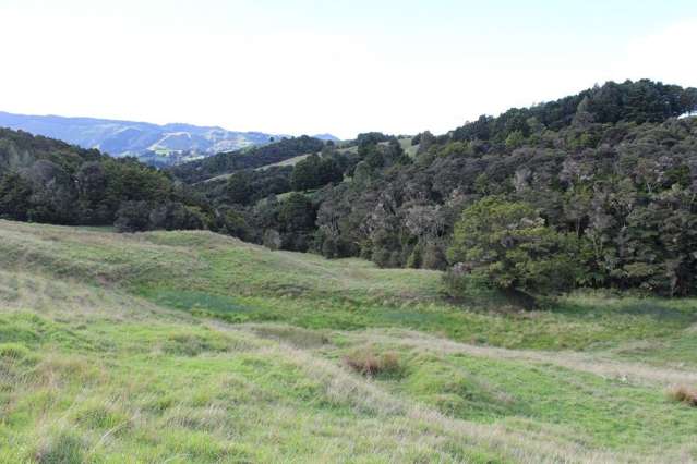 Pipiwai Road Ruatangata_4