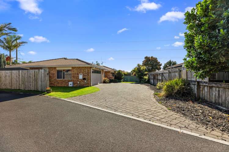 17 Kalmia Dell Mount Maunganui_17