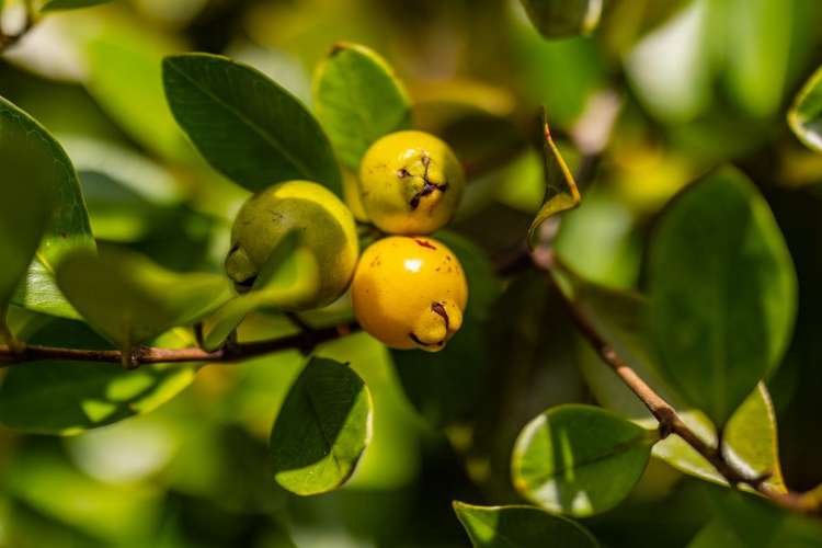 105 Yorke Road Haruru_29