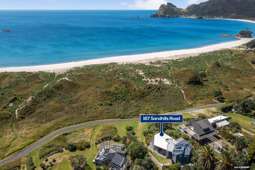 Widow selling Great Barrier Island home after 24 years of white sand, sea and fresh fish