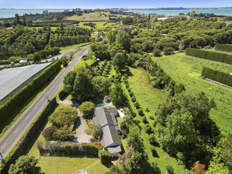 112 Pahoia Road Whakamarama_18