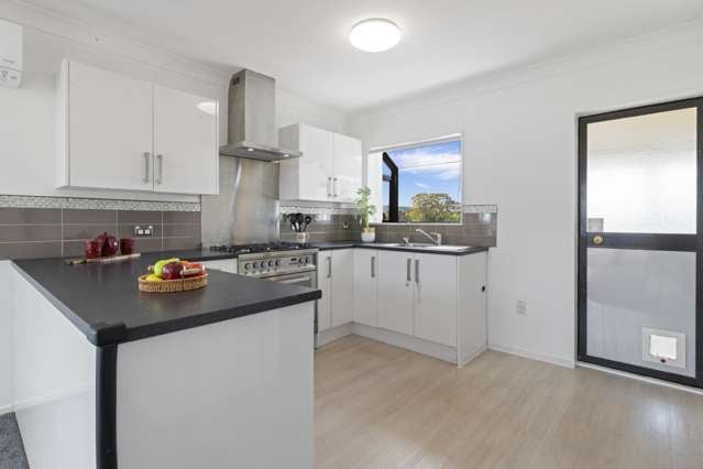 9B Gatland Road Rosehill_4