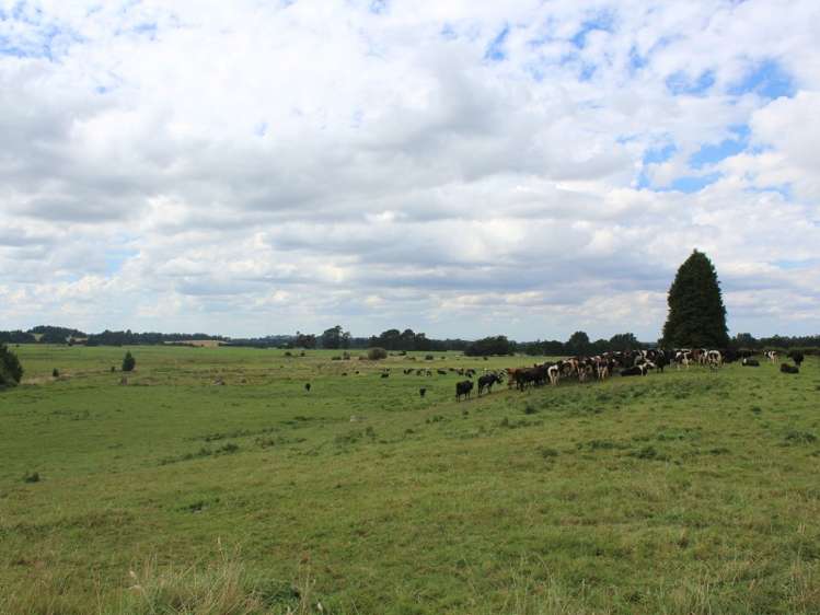 268 Ngamoko Road Norsewood_16