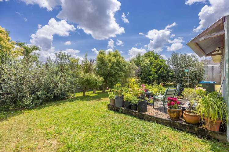 46a Livingstone Avenue Nawton_16